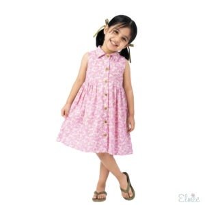 Pink Meadow Oxford Dress