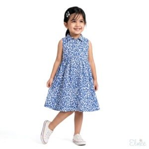 Blue Blooms Oxford Dress